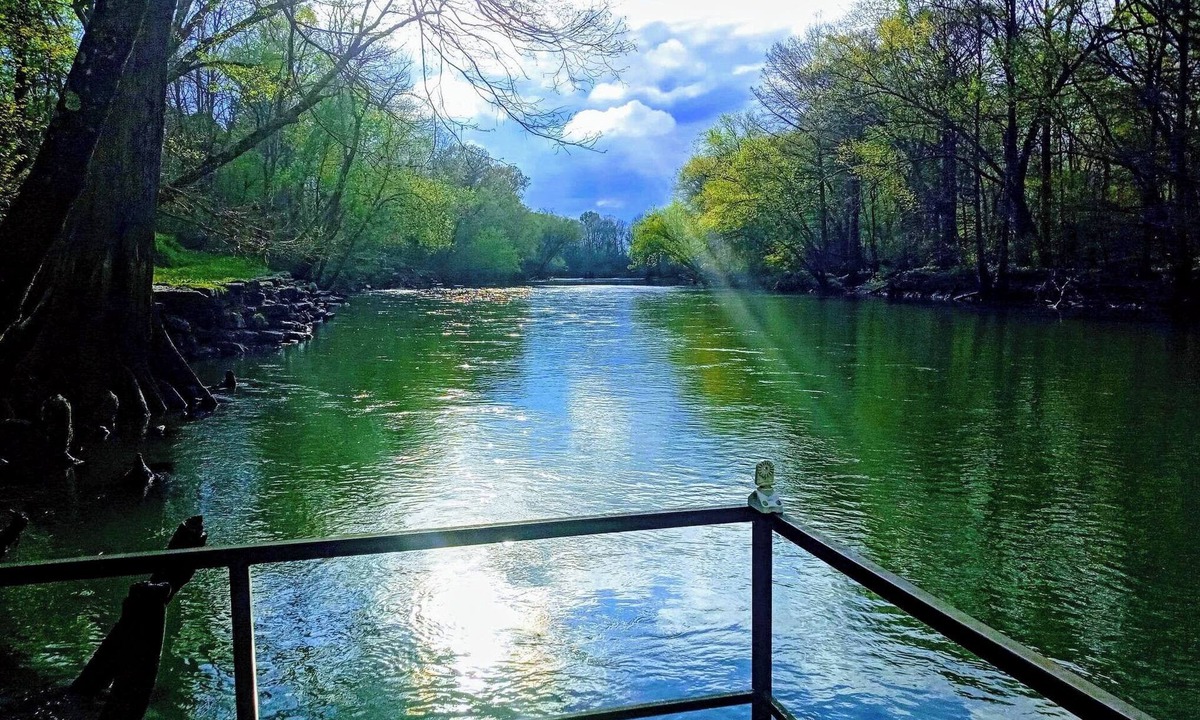 Pangburn Cabin | Cozy cabin in Pangburn AR overlooking on Little Red River 2 Queen 2 single