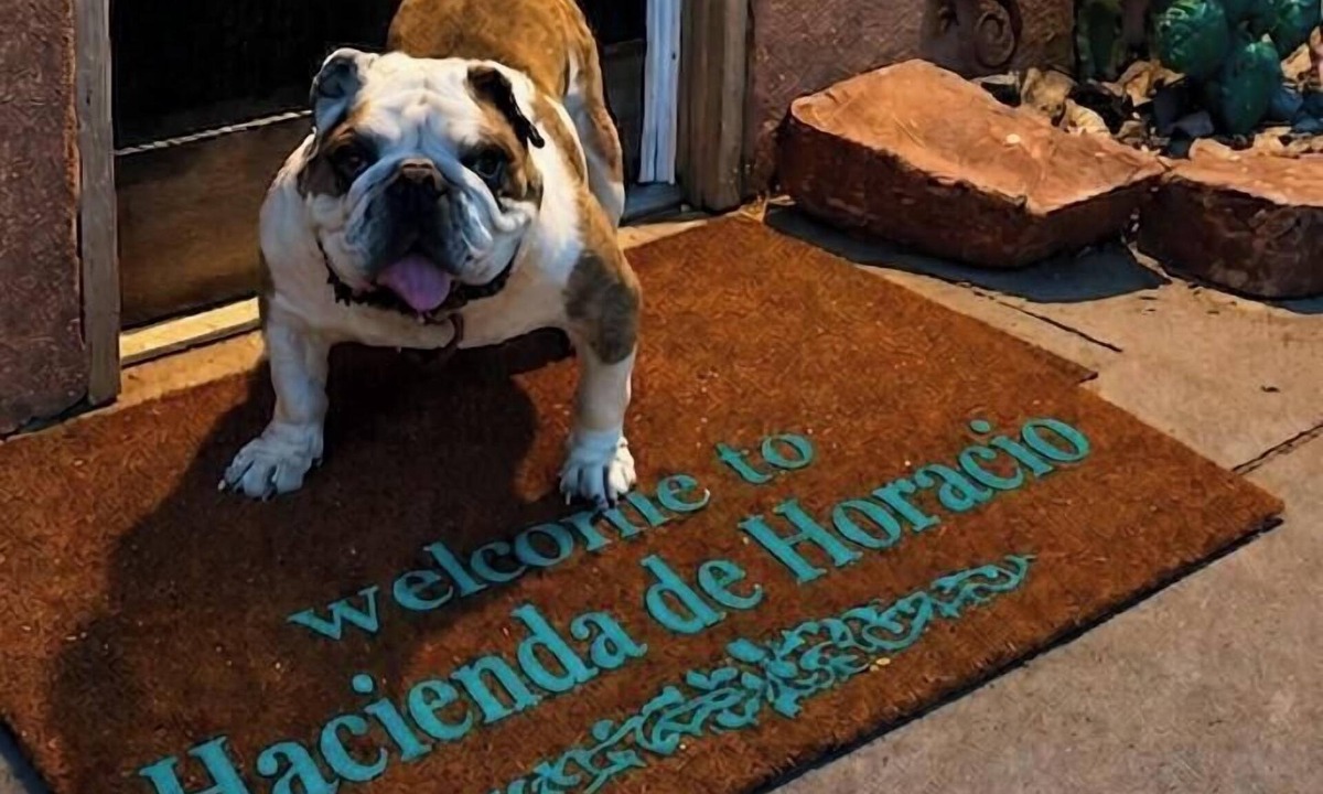 Mesilla House | Hacienda de Horacio a 3 bedroom w/2 king beds, private patio and parking.