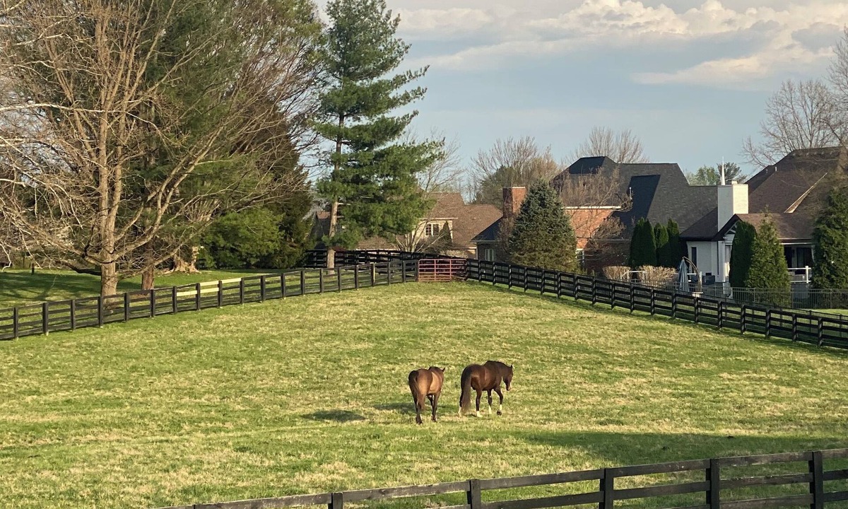Prospect House | Luxury Derby Home in Prospect Area/Sleeps 12+/Backs to Horse Farm