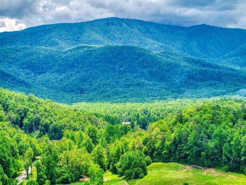 Cosby Ski Chalet | Owners Cabin -Pickleball Court, Creek, WIFI, Mountain Views, Starting at 99