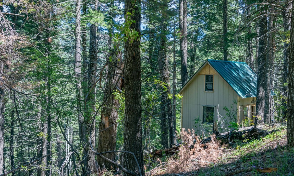Cloudcroft Cabin | "Peace & Quiet", Nature's Retreat, 50 yds from Trailhead, Wildlife Galore