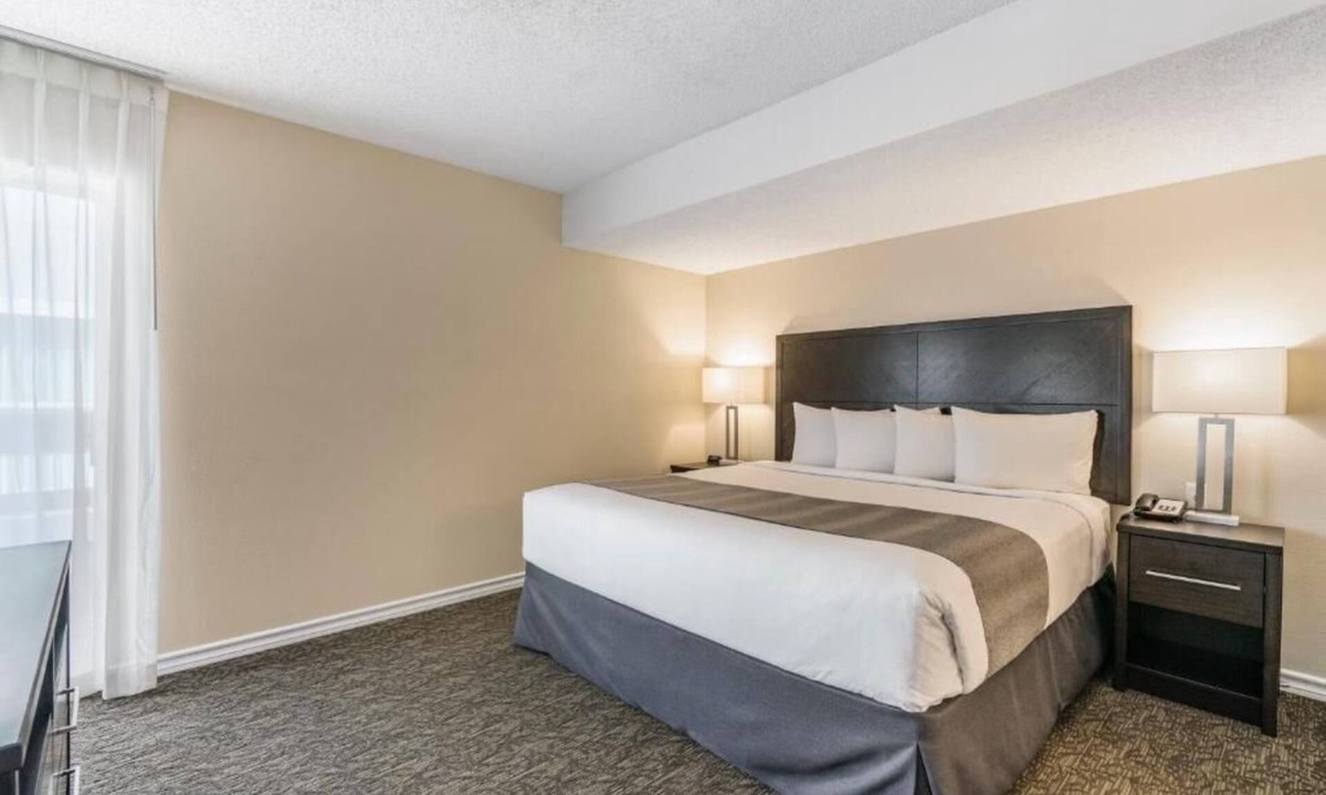 Biggs Field Hotel | Peaceful Stay! Outdoor Swimming Pool, Breakfast, Free Parking, Pets Are Welcome!