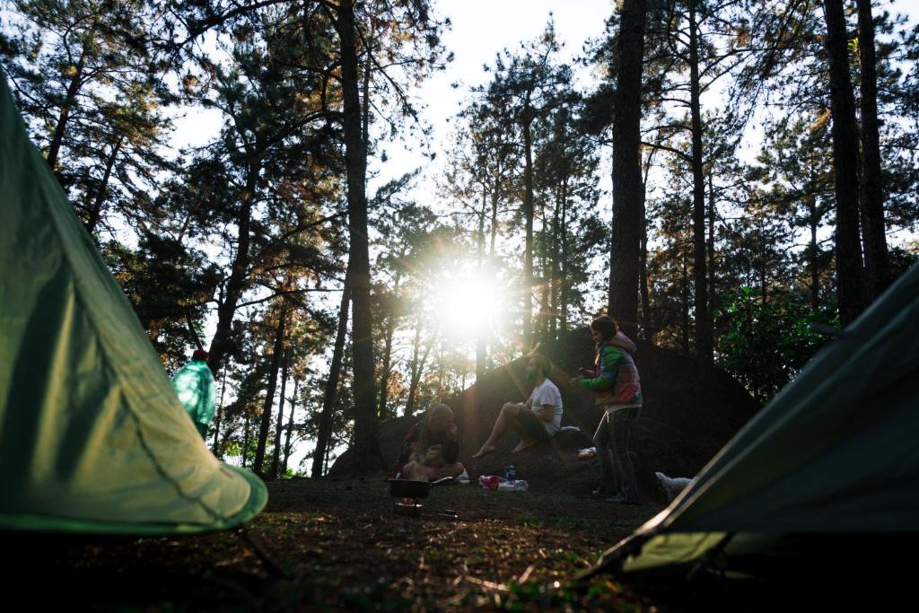 Walnut Shade Other | Persimmon Grove Retreat and Camp