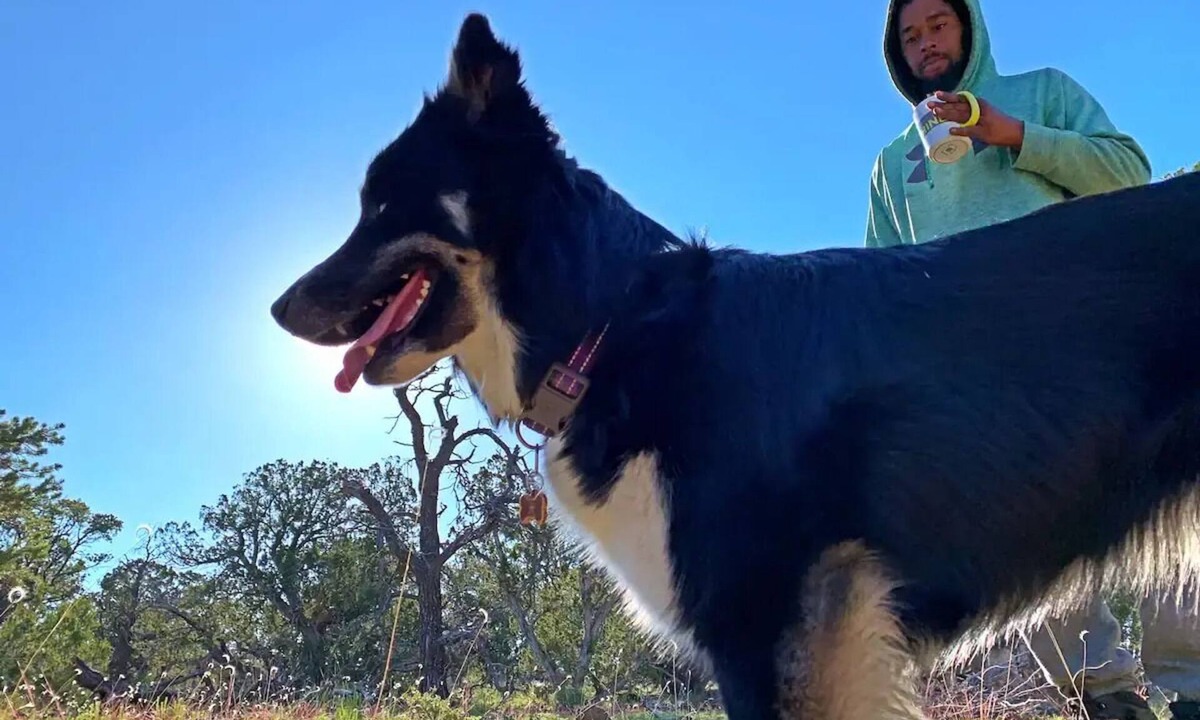 Quemado RV Rental | Pet-friendly camping in the mountains