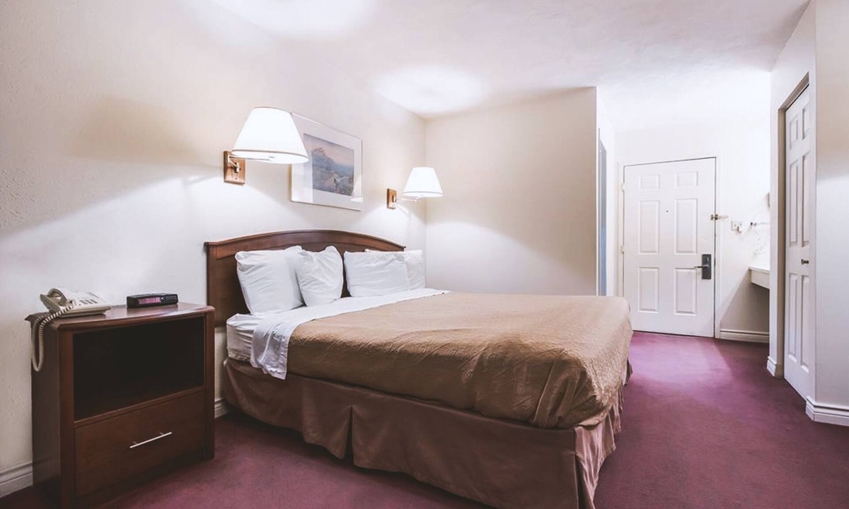 McCook Hotel | Sky-Palace Inn McCook - 1 Queen Bed NS