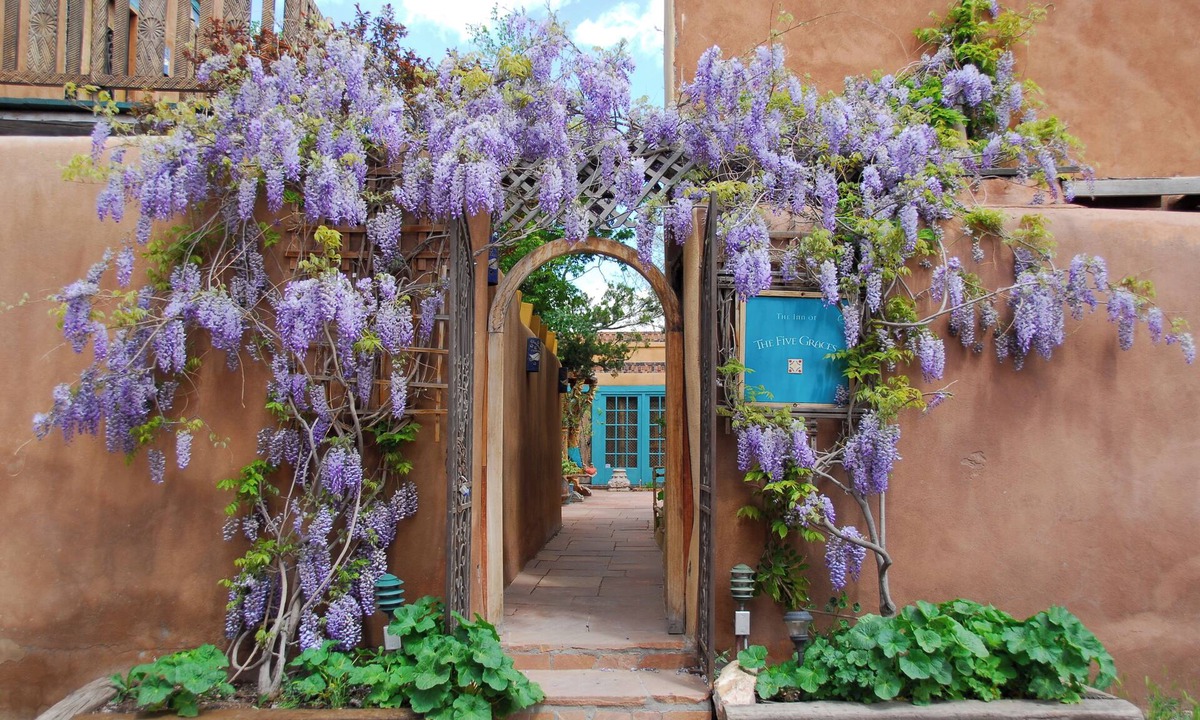 Downtown Santa Fe Hotel | The Inn of The Five Graces
