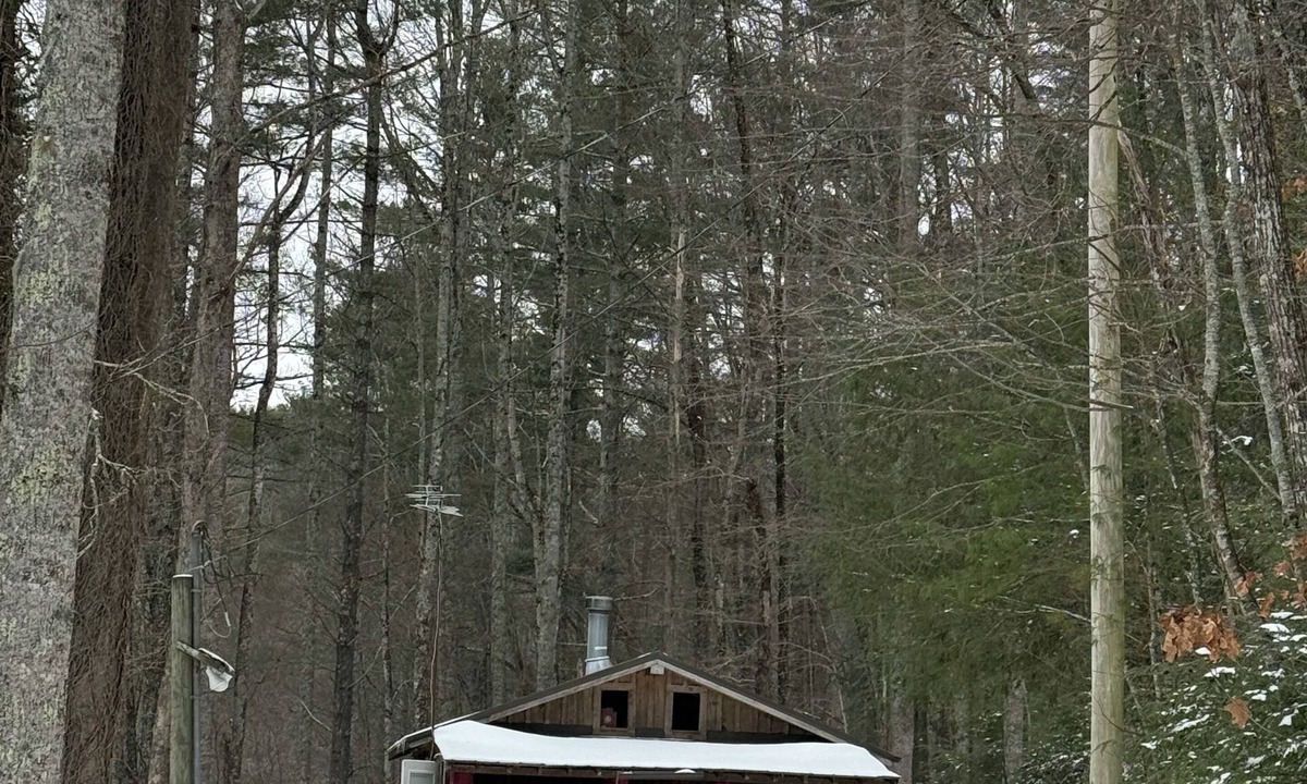 Greeneville Cabin | Tranquil cabin along the Appalachian Trail
