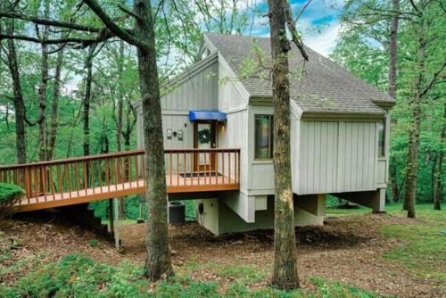 Bella Vista House | Treehouse style home near Lake Norwood
