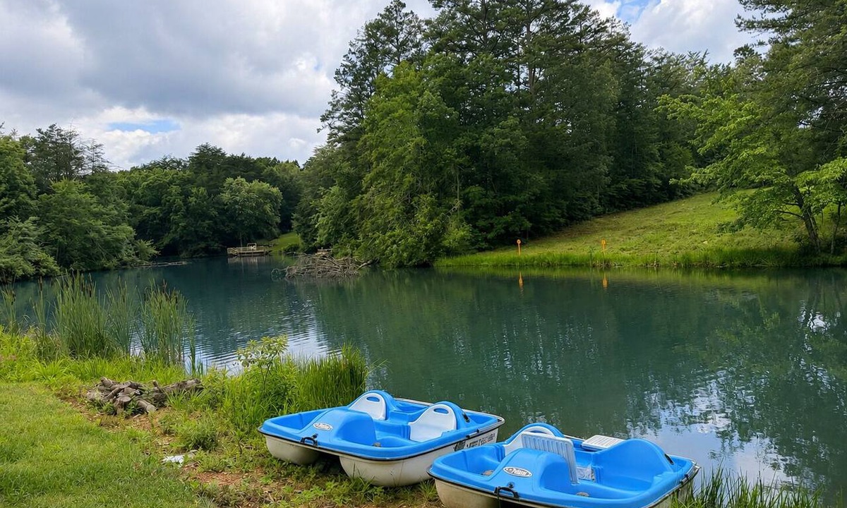 Coalmont Cabin | Unwind at Eagle’s Landing on the Lake - Hot Tub and Paddle Boat! Veteran Owned!