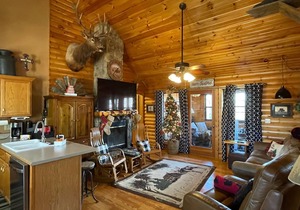 3 bed Log Cabin, w/2 Jacuzzi, 1 mi to SDC, pool, nature trails, private lake