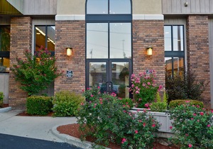 Best Western Plus Landing View Inn & Suites