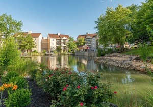 Lush Club Wyndham Branson at the Meadows, 1 Bedroom Suite