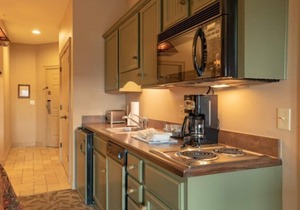 Wilderness Club at Big Cedar, Ridgedale, Missouri, Studio
