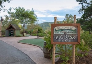 Wilderness Club at Big Cedar, Ridgedale, Missouri, Studio