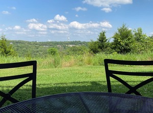 Vineyards | Branson