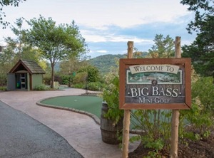 Wilderness At Combined Lodge Ridgedale | Big Cedars