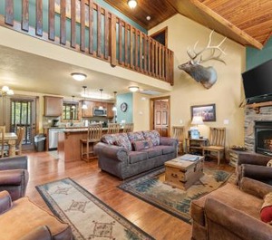 Wilderness At Combined Lodge Ridgedale 