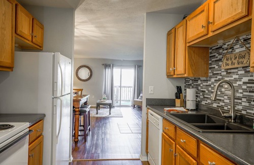 Branson Condo | 🌺Beautiful 3 BR with View🎡 Near the Strip, Pool🏊 (VIN2954-5)