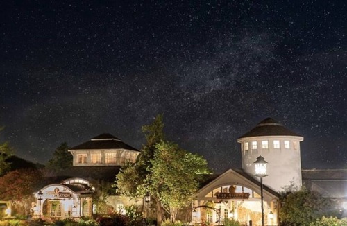 Big Cedars Cabin | 4 BR Presidential Cabin-Wilderness Lodge at Big Cedar