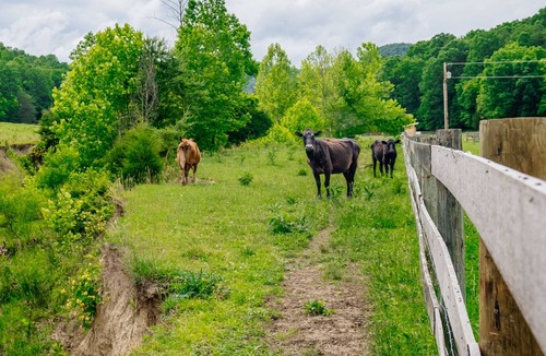 Clay City House | Adventure & Dirt-Biking - Family-Friendly RV Site #4 - near Red River Gorge, KY!