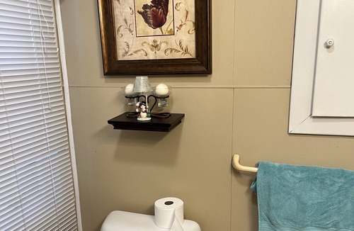 Algona House | Beautiful Chrischilles Cottage across from park & two blocks from downtown.