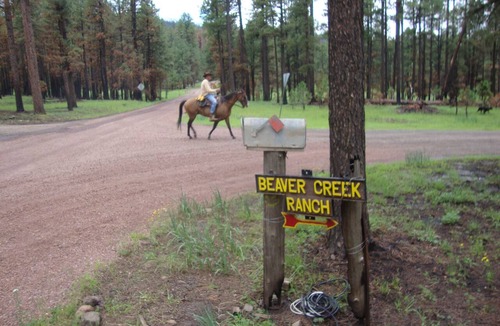 Clifton Cabin | Beaver Creek Guest Ranch is your scenic getaway.