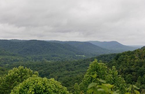 Stanton House | "Black Hawk" - The Overlook LUX Cabin - RRG