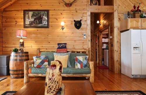 Blue Eye Cabin | Branson MO Log Cabin Private Porch Quiet Mtn. Forest View Above Lake, Handicap