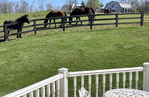 Simpsonville Cottage | Carriage House Cottage on horse farm.