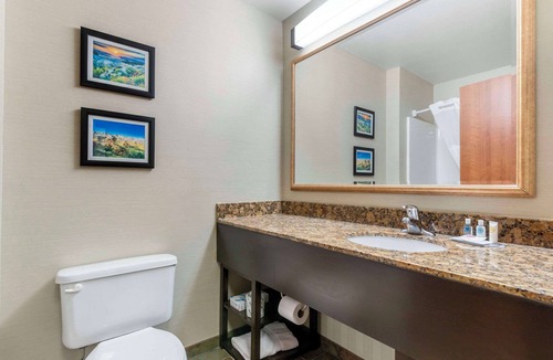 Mitchell Hotel | Comfort Inn & Suites Mitchell I-90