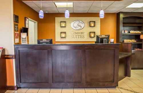 Jacksonville Hotel | Comfort Suites near Camp Lejeune
