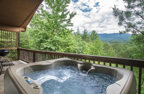 Cosby House | Country Bear Hideaway
