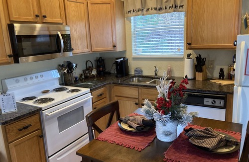 Chalet Village Ski Chalet | Couple’s Mtn Getaway;Borders GSMNP;Seasonal Mtn views; Allergen-Free
