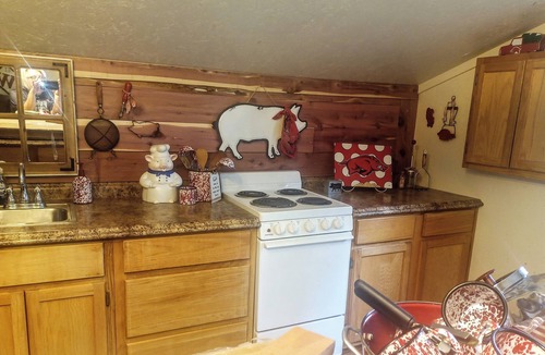 Pangburn Cabin | Cozy cabin in Pangburn AR overlooking on Little Red River 2 Queen 2 single