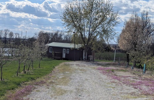 Trenton Cabin | Cozy Cabin in the Orchard - Peaceful Country Escape