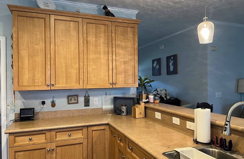 Hampstead House | Cozy Coastal Retreat - Dog friendly! Great for longer Stays/Corporate