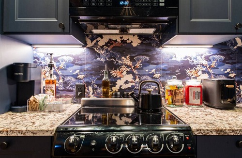 Downtown Louisville Apartment | Hollyhock Suite 510: 2 beds/1 bath