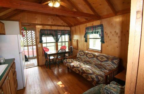 Mead House | Lakeview Cedar Cabin - 7