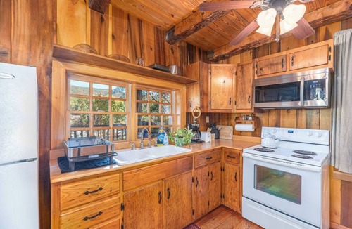 Hot Springs Cabin | Magical Cabin - River Access - Minutes from Town