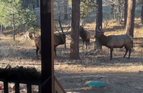 Alto House | NEW HOT TUB Pet-Friendly Getaway with Room to Roam and CLOSE to Ski Apache