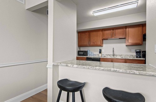 Springfield Apartment | Newly Renovated Unit in Central Spfld! #101