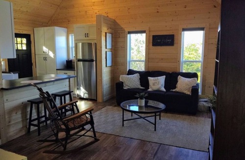 Caryville House | NORRIS LAKE FRONT RENTALS: LITTLE PERK LAKEHOUSE ON NORRIS LAKE w/PRIVATE DOCK