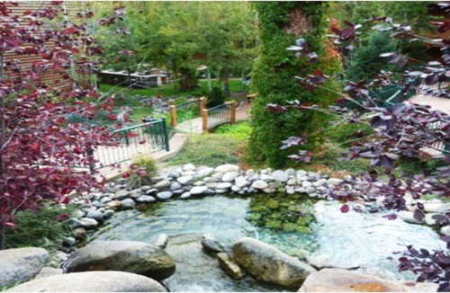 Ruidoso Condo | Peace of the River - This Beautiful Riverside 2 Bedroom Condo will ZEN you out!
