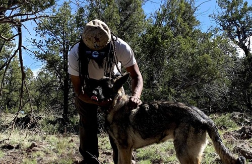Quemado RV Rental | Pet-friendly camping in the mountains