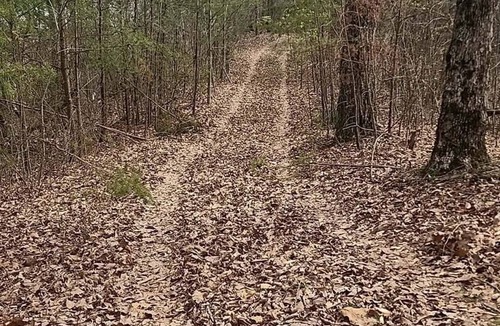 Seymour RV Rental | Picteresque 1-bedroom Glamp cabin on Bear Hollow Reserve. Hike. Feed fish. Camp