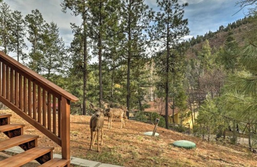 Ruidoso Cabin | Relax with peaceful river views and wildlife sightings. A perfect retreat.