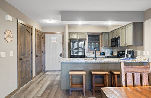 Indian Point Apartment | Spacious Condo just Minutes from Silver Dollar City - Indian Point (U1108AB)