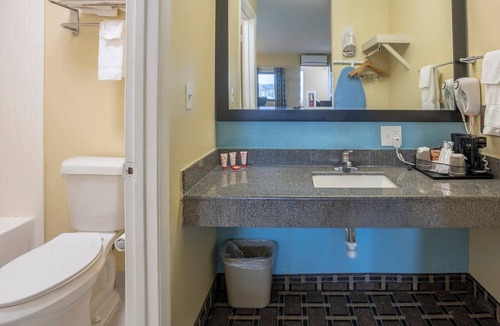 Cedar Bluff Apartment | Studio King with Pull Out