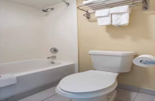 Cedar Bluff Apartment | Studio King with Pull Out