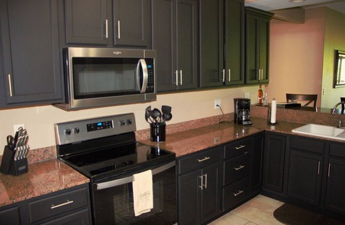 Indian Point Condo | Table Rock Lake, Luxury Lake front condo, jacuzzi ,5 min to Silver Dollar City
